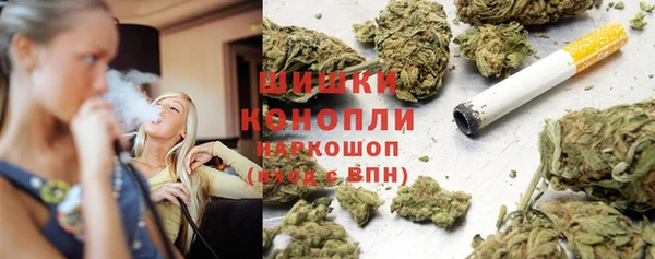 молекула духа Гусиноозёрск