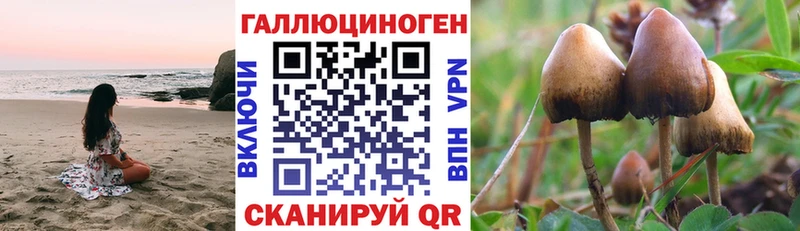 Галлюциногенные грибы прущие грибы Купить где Мезень